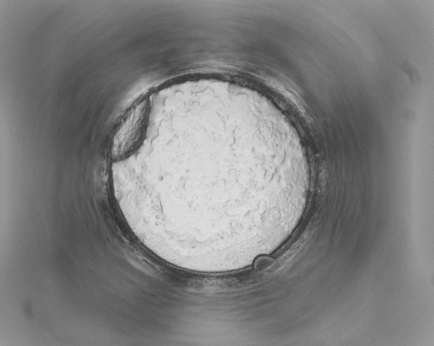 X0000114551355200911161410