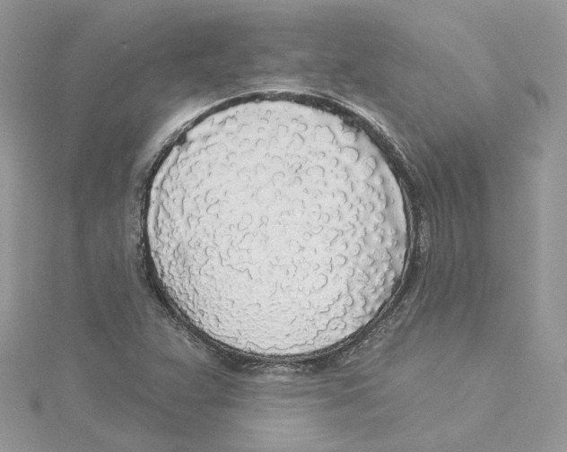 X0000114551359200911161410