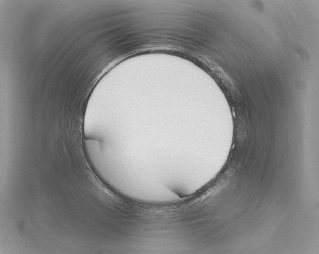 X0000114551369200911161410