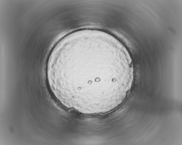 X0000114551375200911161410