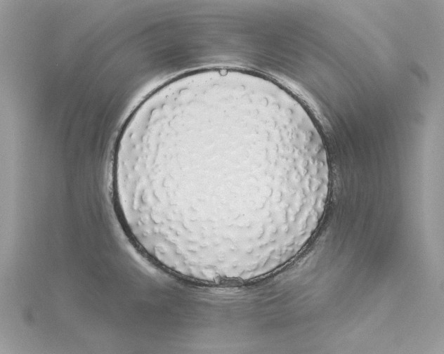 X0000114551383200911161410