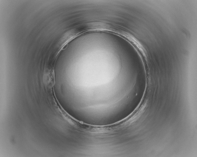 X0000114551385200911161410