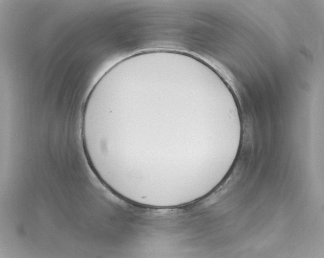 X0000114551390200911161410