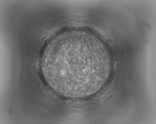 X0000114551397200911161409