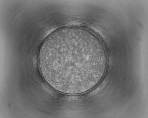 X0000114551401200911161409