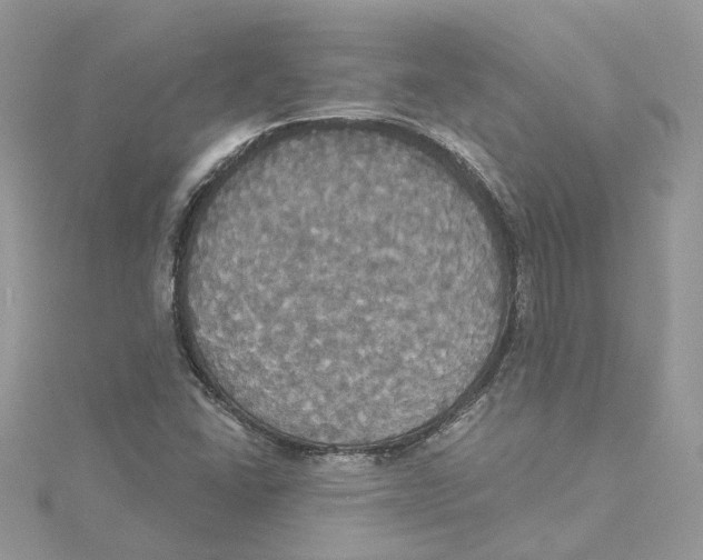 X0000114551406200911161409