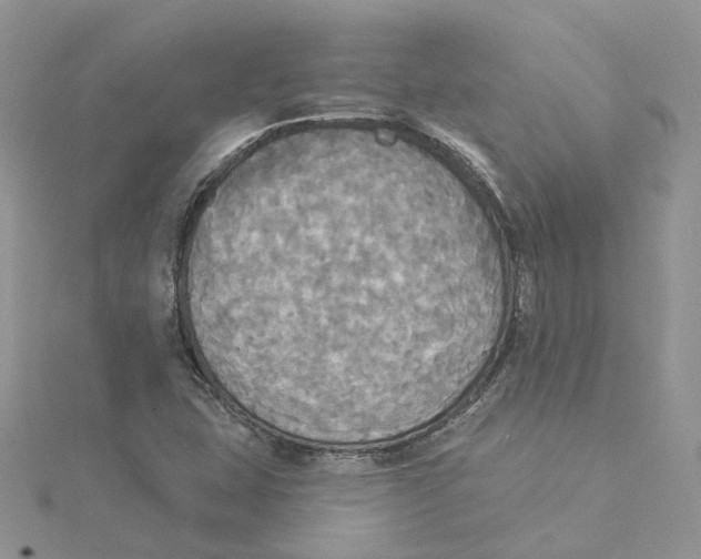 X0000114551407200911161409