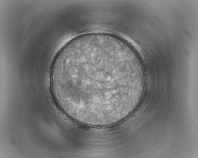X0000114551415200911161409