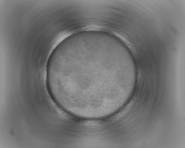 X0000114551418200911161409