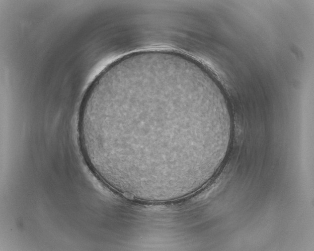 X0000114551422200911161409