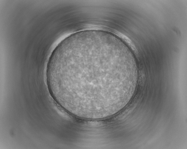 X0000114551427200911161409