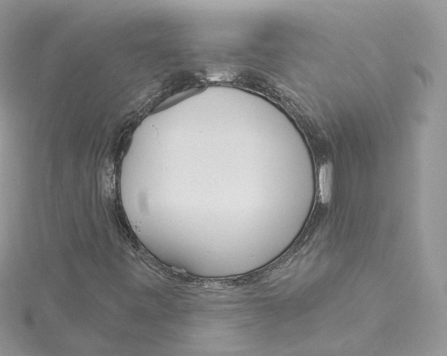 X0000114551443200911161409