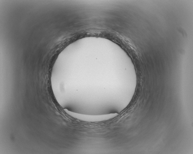 X0000114551445200911161409