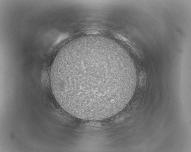 X0000114551446200911161409