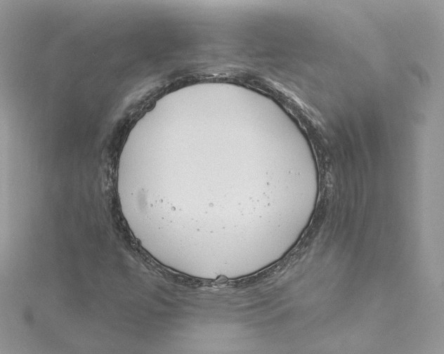 X0000114551447200911161409