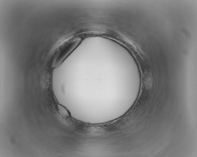 X0000114551448200911161409
