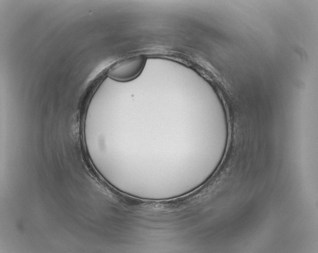X0000114551450200911161409