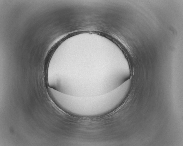 X0000114551452200911161409