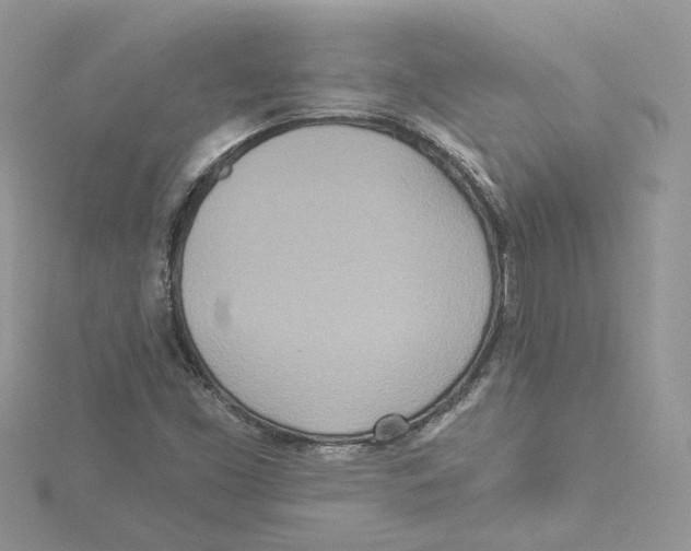 X0000114551453200911161409