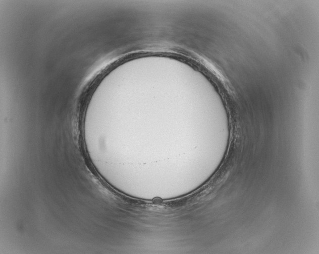 X0000114551456200911161409