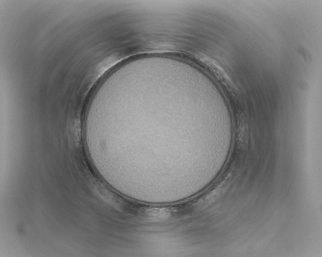 X0000114551457200911161409