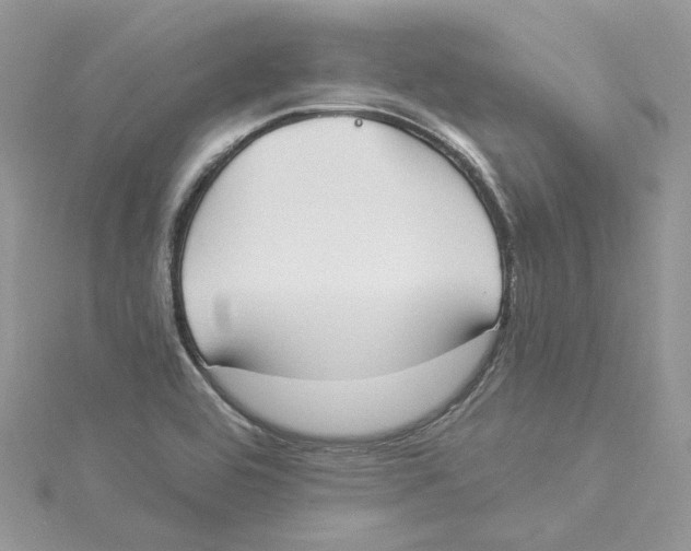 X0000114551464200911161409
