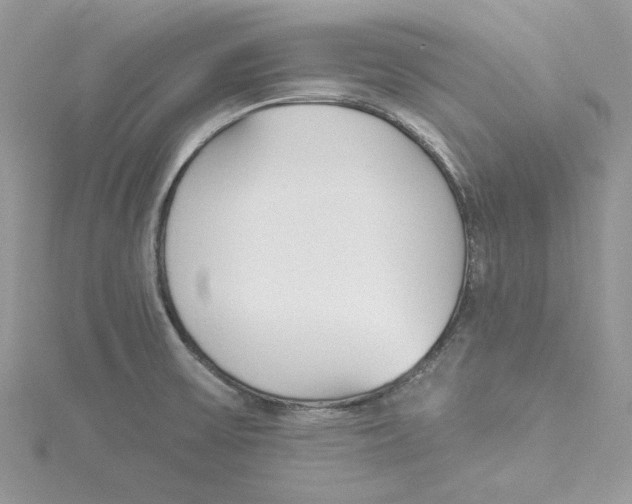 X0000114551475200911161408