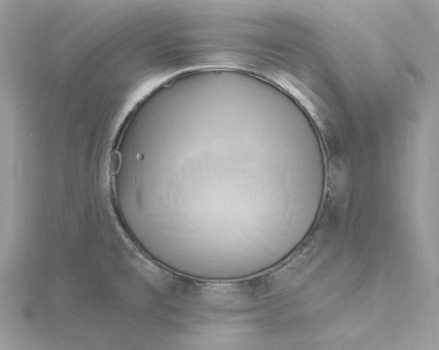 X0000114551477200911161408