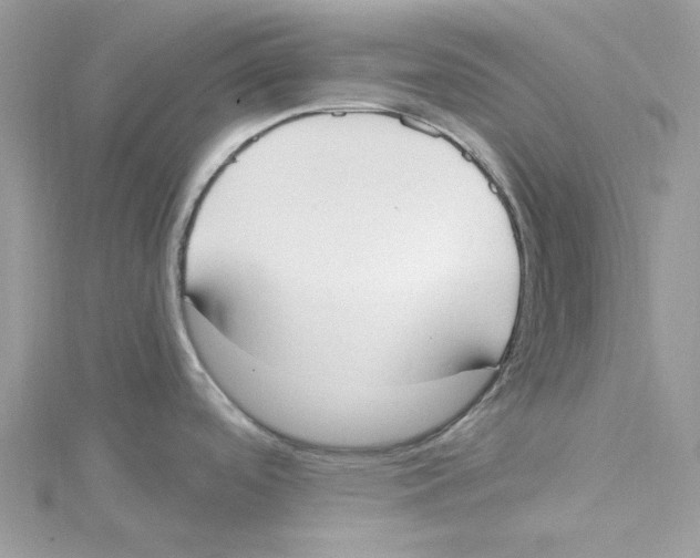 X0000114551488200911161408