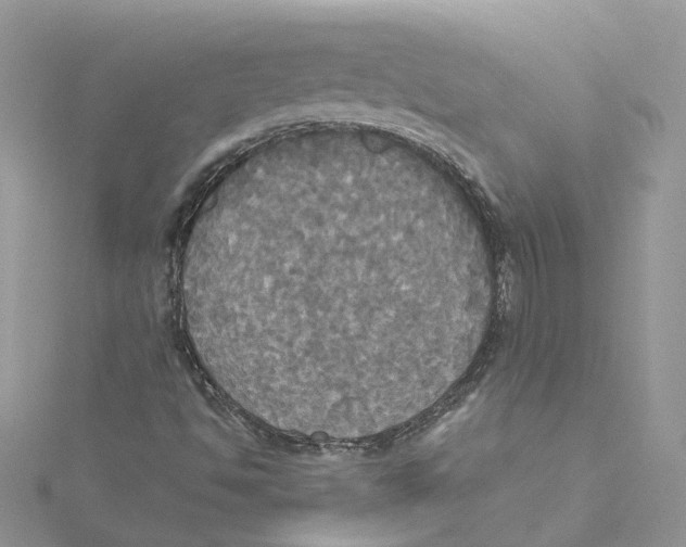 X0000114551494200911161408