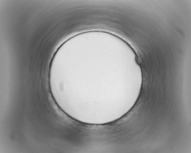 X0000114551534200911161408
