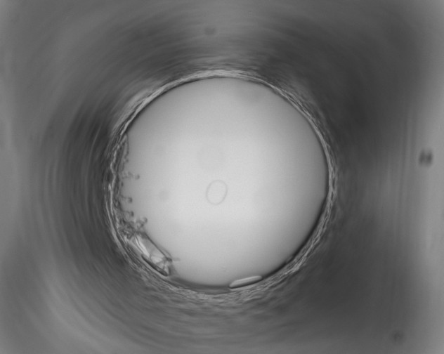 X0000114550001200911301235