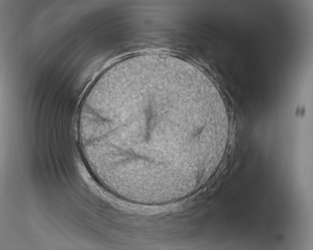 X0000114550002200911301235