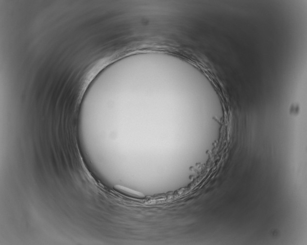 X0000114550003200911301235