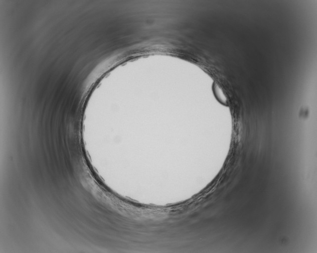 X0000114550004200911301235