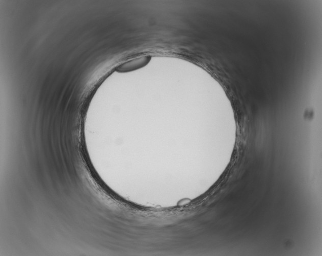 X0000114550005200911301235