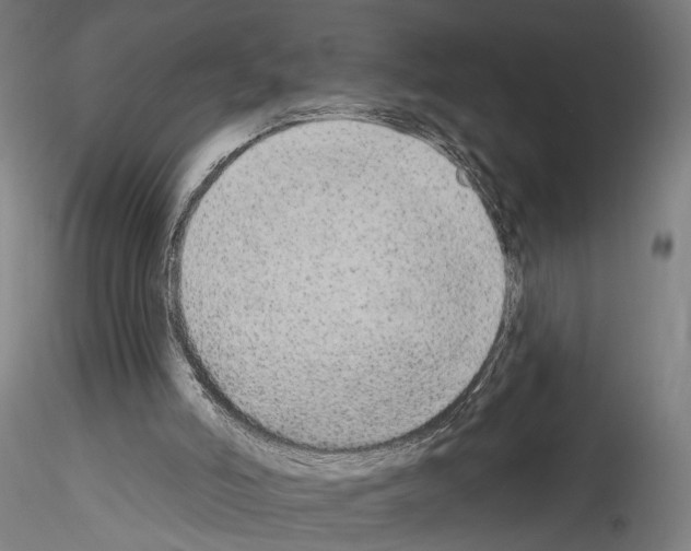 X0000114550006200911301235