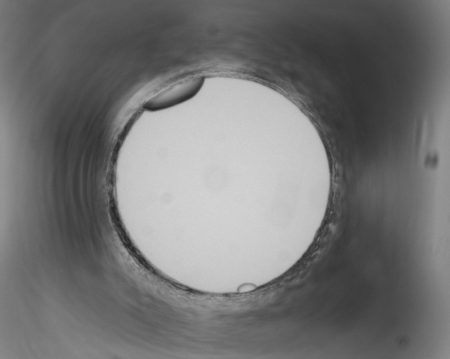 X0000114550007200911301235
