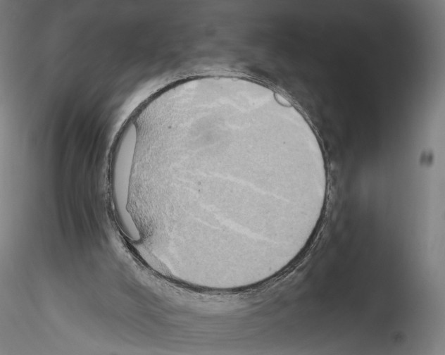 X0000114550008200911301235