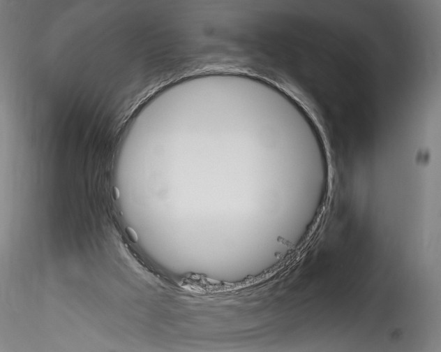X0000114550009200911301235