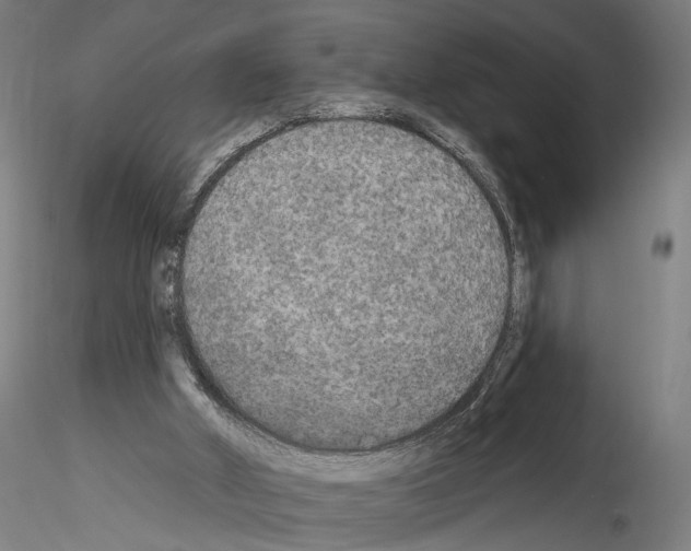 X0000114550010200911301235
