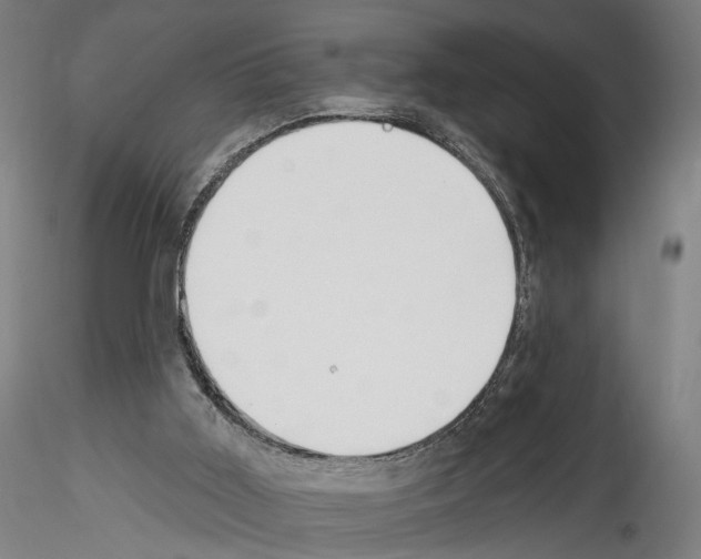 X0000114550011200911301235