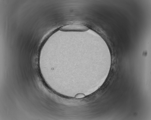 X0000114550012200911301235