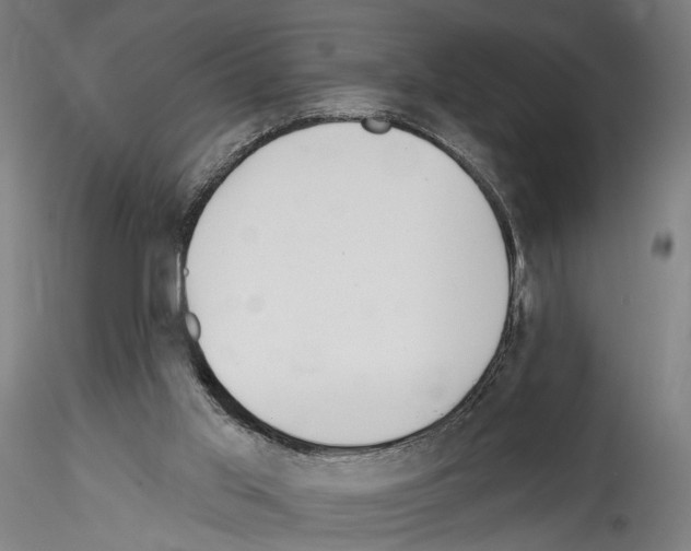 X0000114550013200911301235