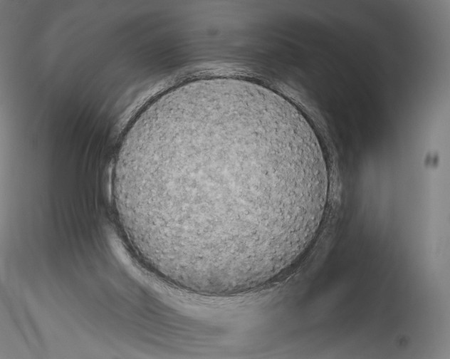 X0000114550014200911301235
