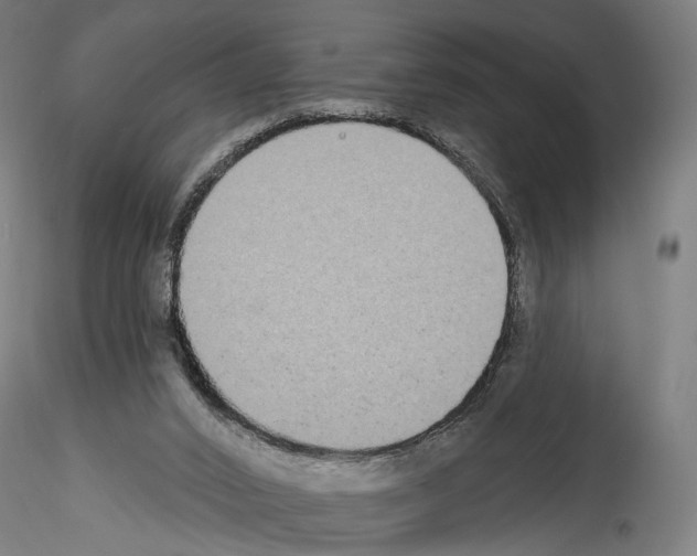 X0000114550016200911301235