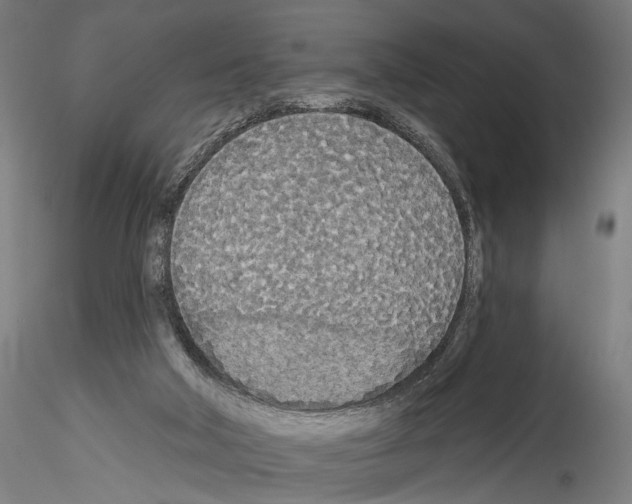 X0000114550018200911301235