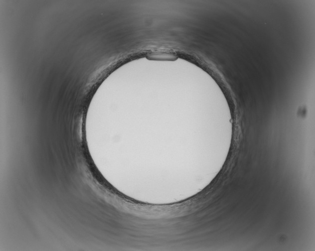 X0000114550019200911301235