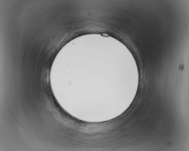 X0000114550021200911301235