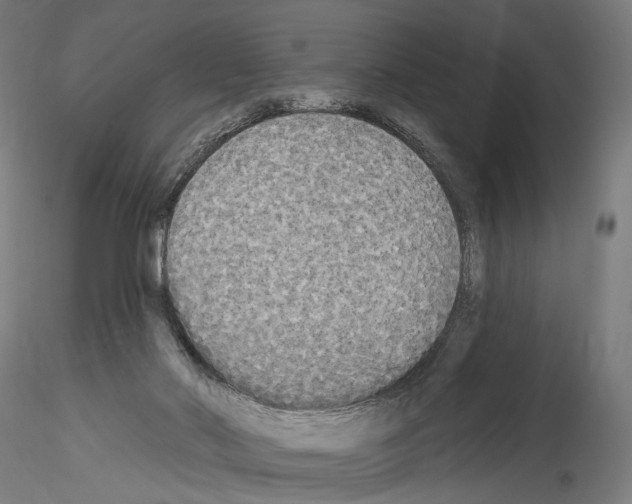 X0000114550022200911301235